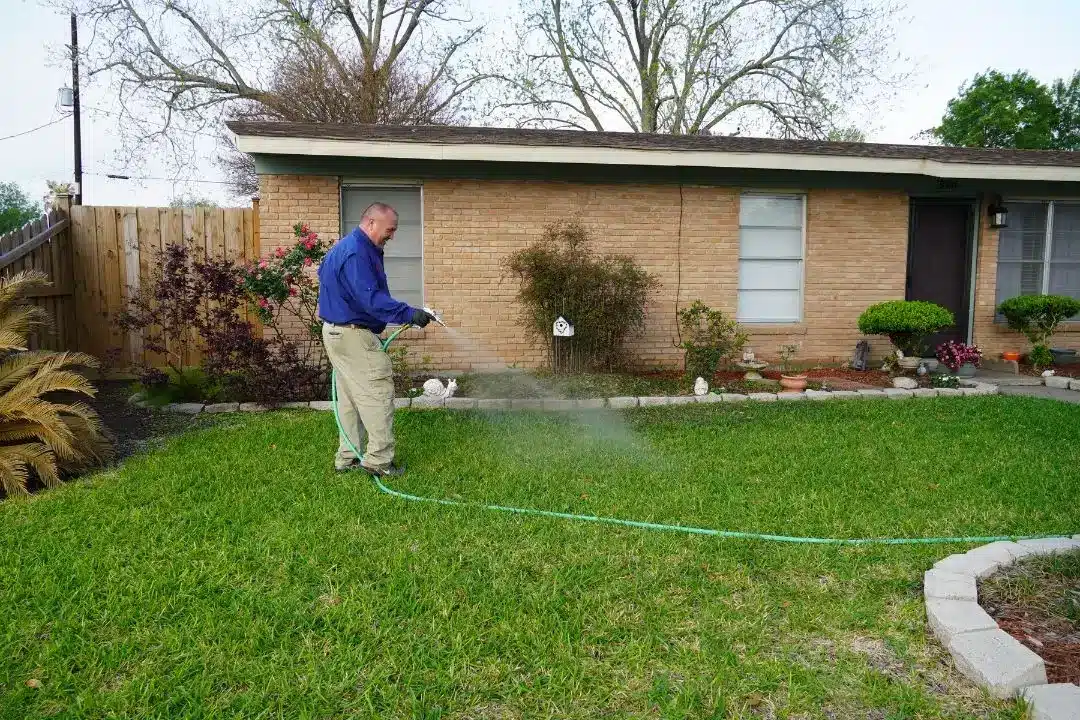 Man watering lawn in front yard.