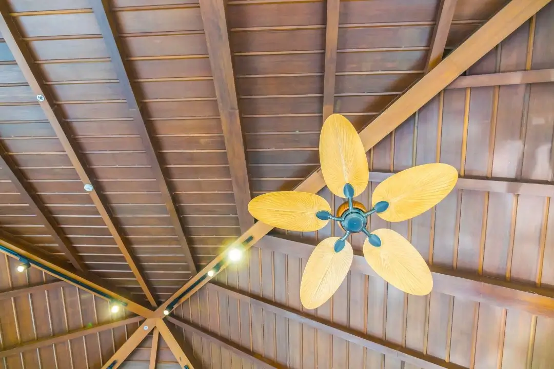 Ceiling fan with wooden beams overhead.
