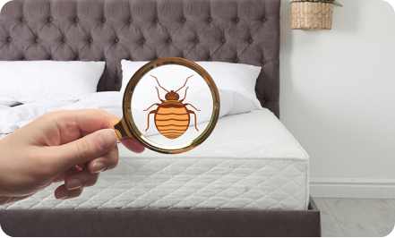 A person holding a magnifying glass over a mattress, looking for bedbugs.