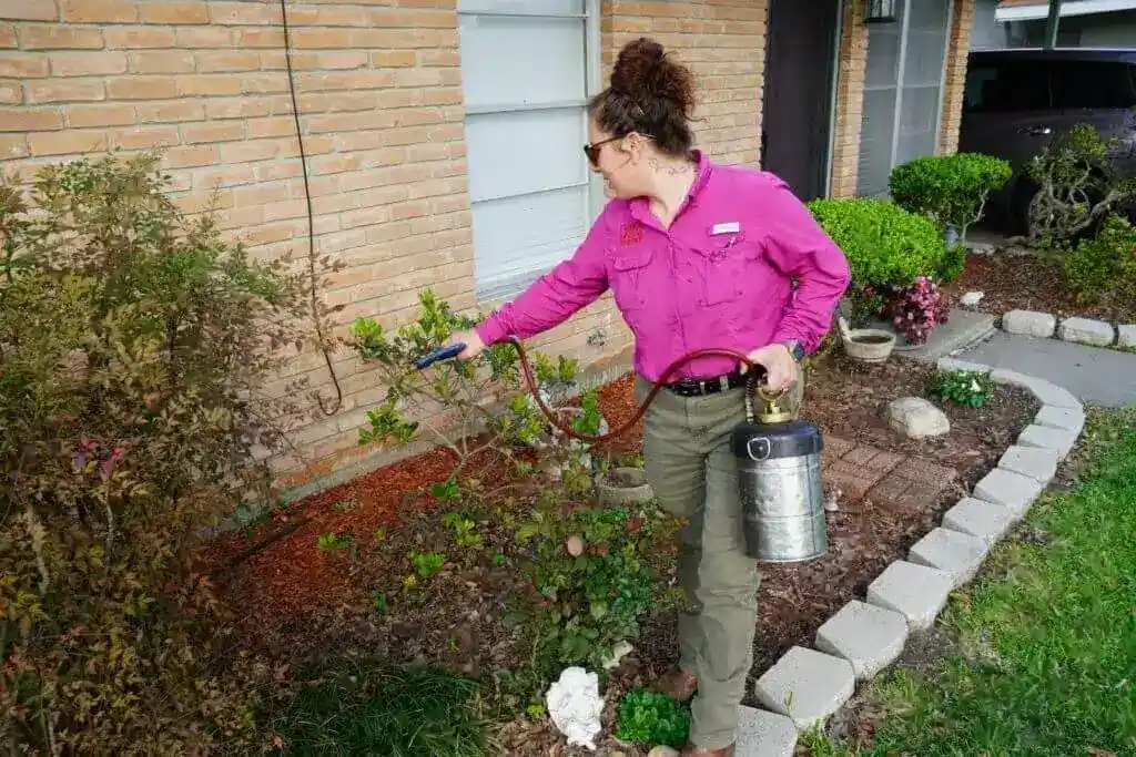 Image of a woman doing spray to flowers