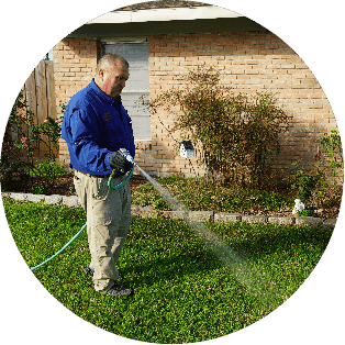 A man is spraying in the garden