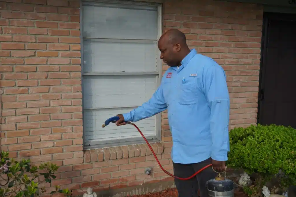Pest control worker spraying outdoors.