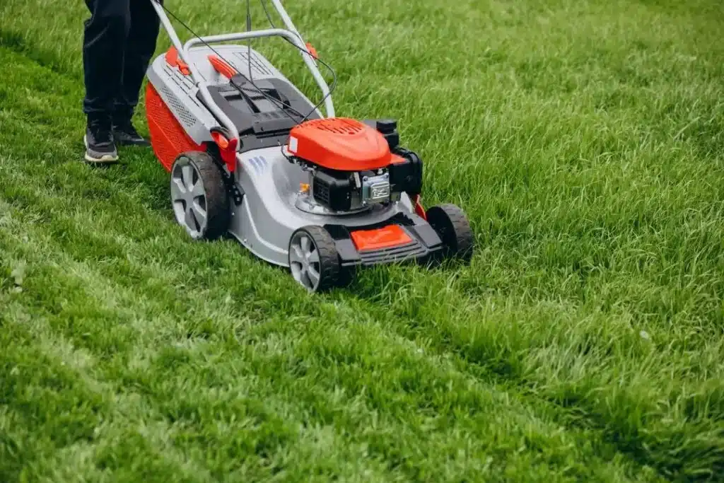 Mowing the lawn with a lawnmower