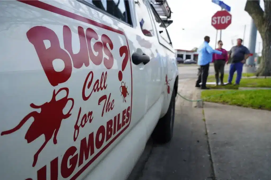 Top Seasonal Pest Control Tips for Texas Residents + Termite Protection