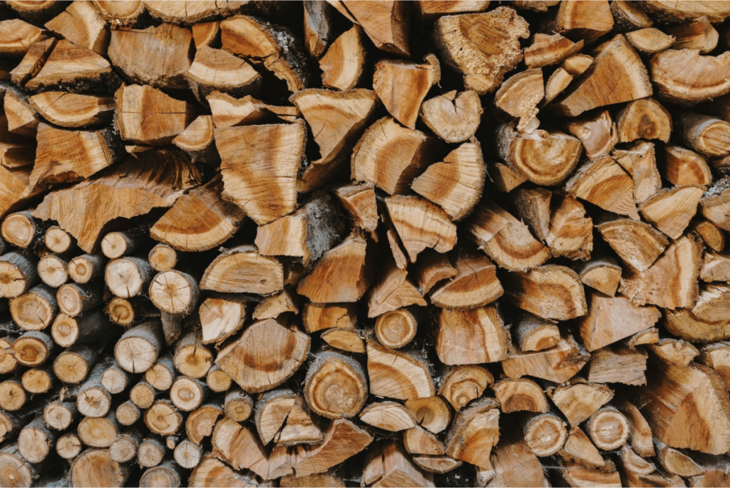 Stack of cut firewood.