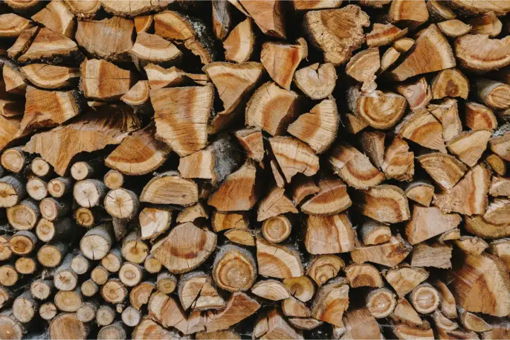 Stack of cut firewood.