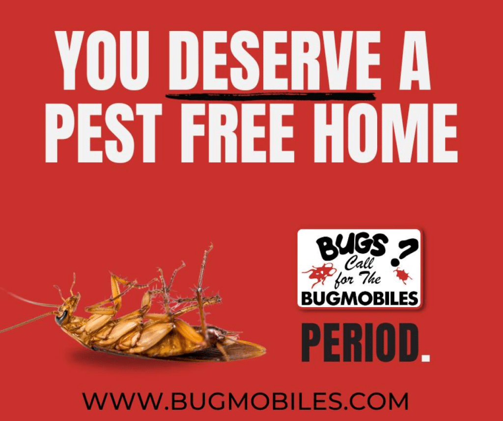 A promotional graphic for BugMobiles featuring the slogan "You Deserve a Pest Free Home" and a dead cockroach, emphasizing pest control services.