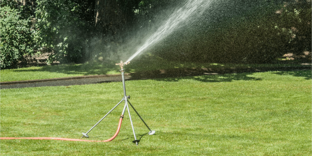 Lawn sprinkler spraying water over green grass.