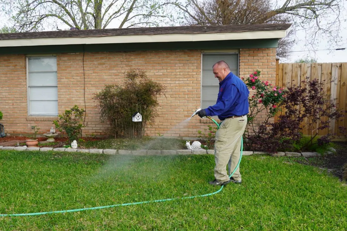 BugMobiles, Unleashing Your Pest-Free Living!