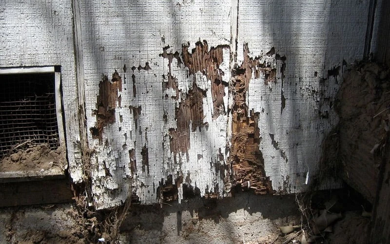 Rotted exterior wood siding damage